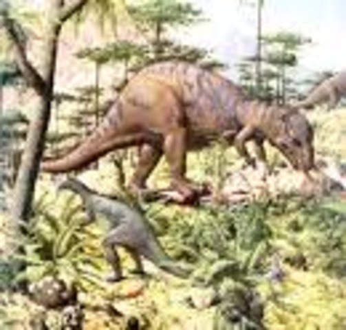 Triassic 225-195 MYA