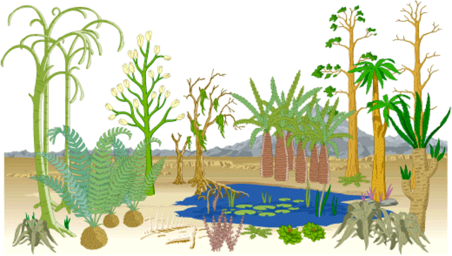 Cretaceous Period 136-65 MYA