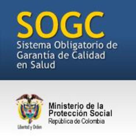 Decreto 1011 de 2006