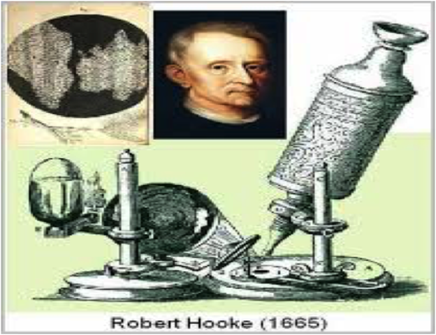 Edad moderna (siglo XV y XVIII)