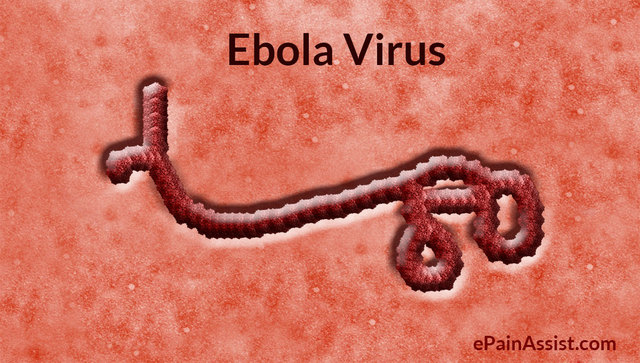 1976 Virus del Ëbola