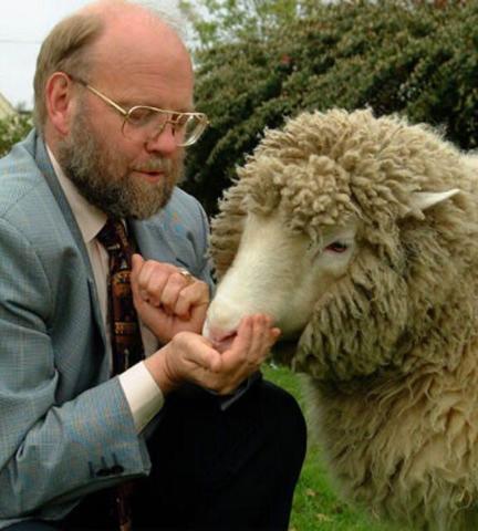 Dolly the sheep