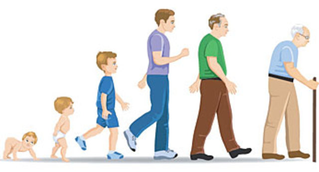 Edad Moderna (siglo XV al siglo XVIII)