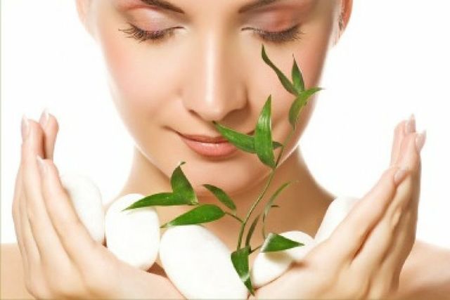 decreto 1737 de 2005 (mayo 27 de 2005)