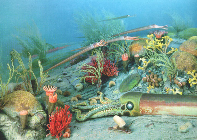 Ordovician 500-435 MYA