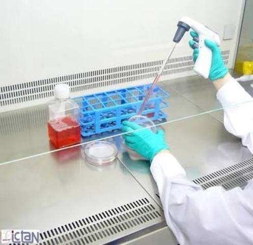 La aplicación industrial de cultivos celulares se consideró factible.