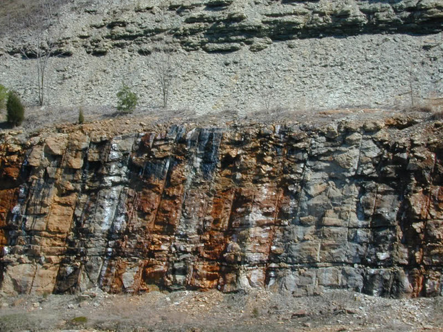 Silurian 435-395 MYA