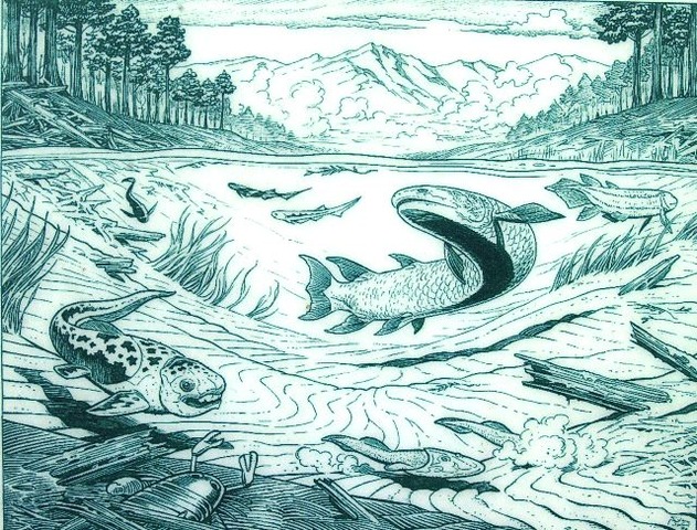 Devonian 395-345 MYA