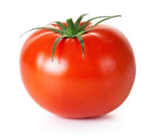 Tomate transgenico