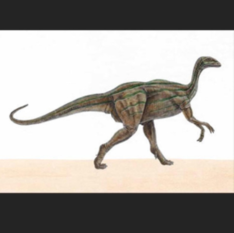 Triassic 225-195 MYA