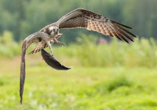 9η συνάντηση περιβαλλοντικής