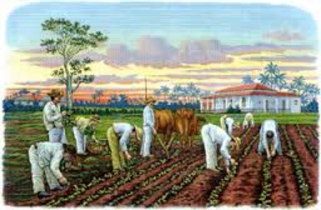 Esclavos llegan primero a Cuba desde África.