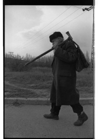 A szenvedés csírája