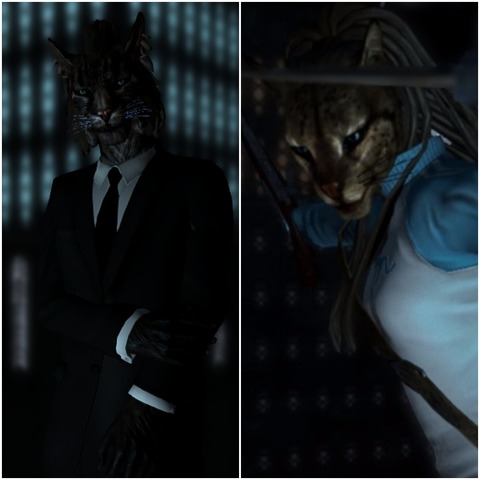 Race: Khajiit