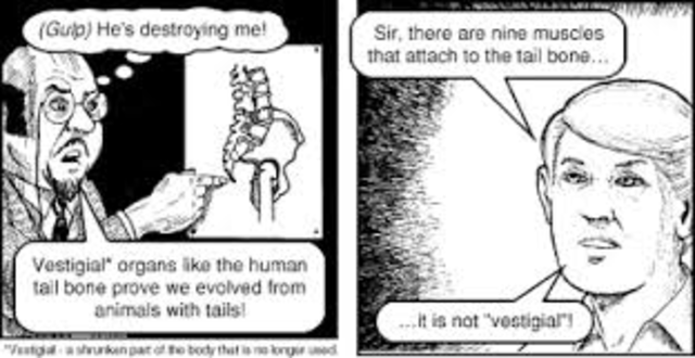 Walz v. Tax Commission of the City of New York