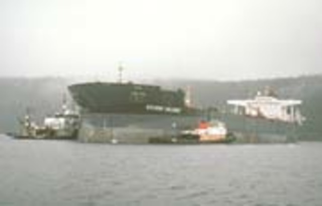 Answers to the Exxon Valdez oil spill