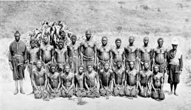 Cesión del Congo a Bélgica