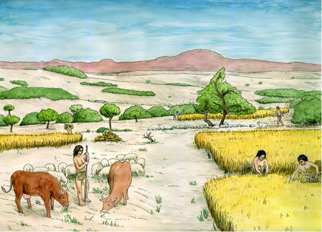 aparición del trigo.