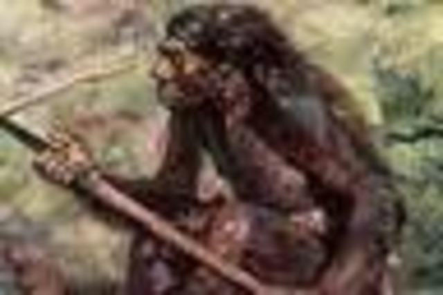 Quaternary 1.8m-present