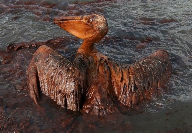 The worst oil spill in history