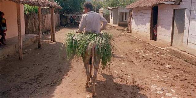 Se prolonga la tragedia