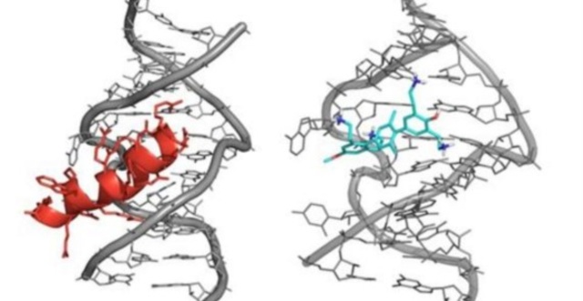 Primer transplante de material genético de un organismo a otro.