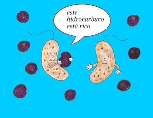 Bacteria que devoraba el petróleo