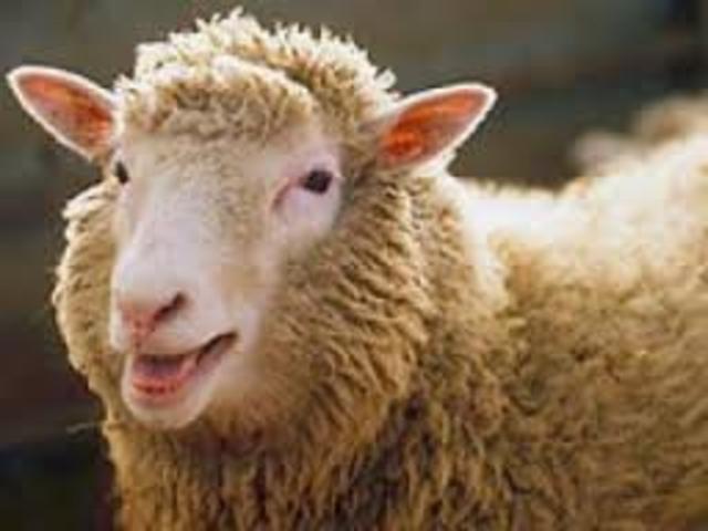 Clonación de la oveja Dolly