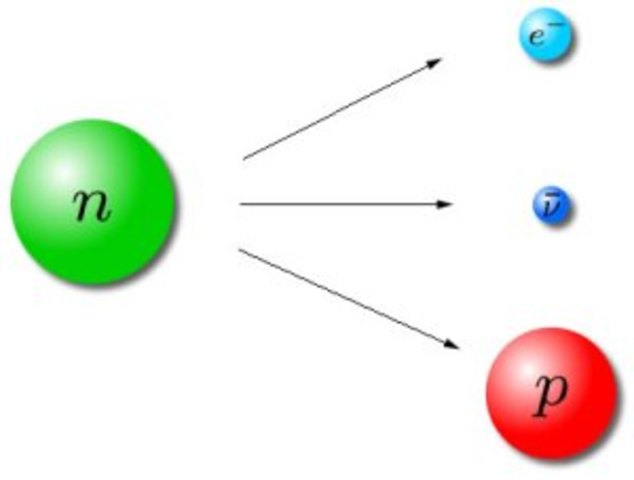 Wolfgang Pauli sugirió el neutrino para explicar el espectro continuo de los electrones en el decaimiento beta.