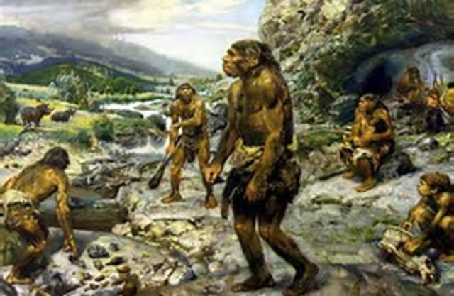 Autor: Edilsa Rubiela Medina Tecnología Educativa: Campus Virtual UDES