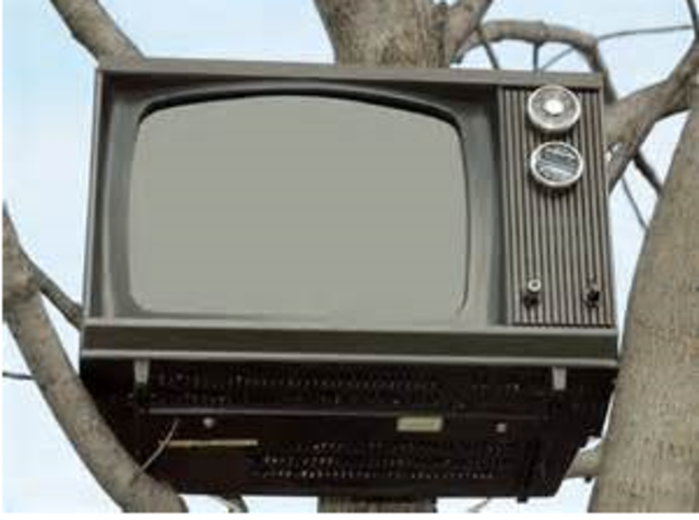 Programas educativos en Estados Unidos