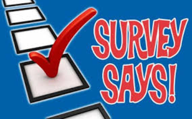 Stakeholder Focus Group / Survey