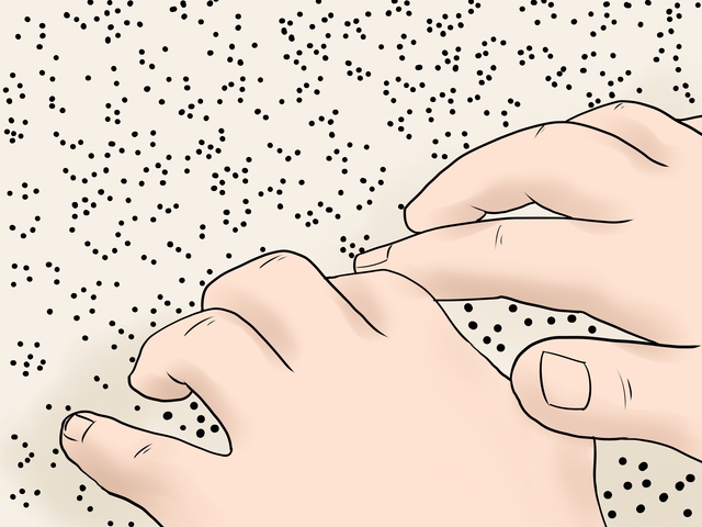 El braille
