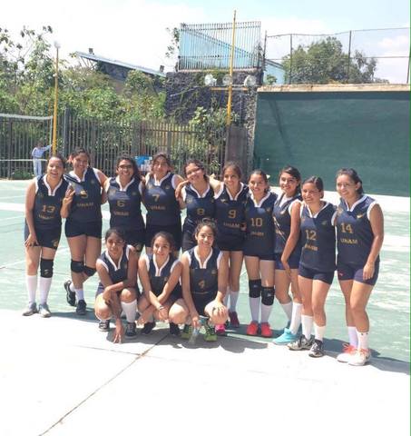 Equipo de volley
