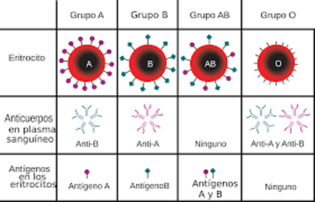Grupos sanguineos