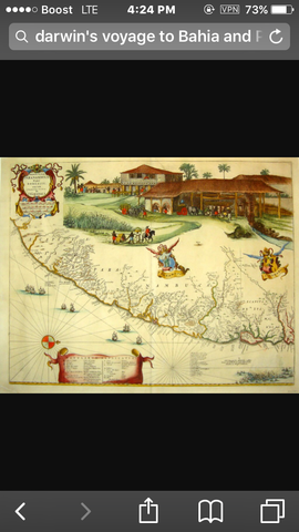 Bahia and Pernambuco, South America