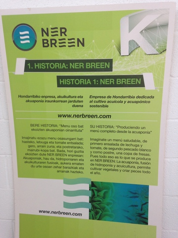 Pasantía en empresa NER BREEN