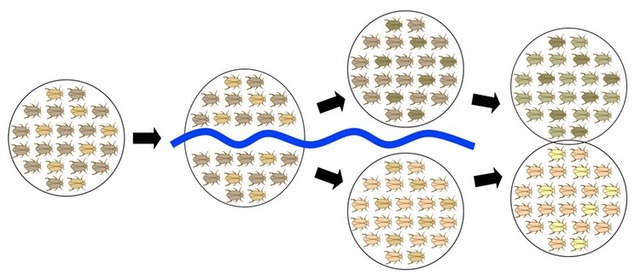 Ecologia De Comunidades