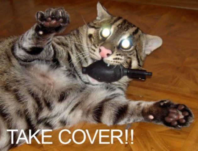 Donald trump elected (we will all die)