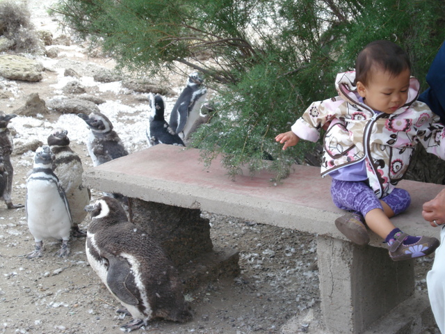 South America cruise to Argentina, Chile, Uruguay