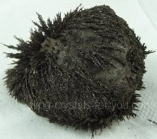 Exploration and Travel