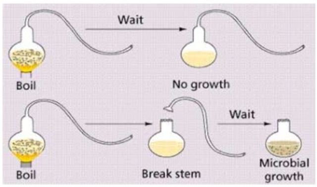 The end of the theory of Spontaneous generation 2