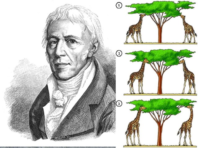 Jean Baptiste Lamarck