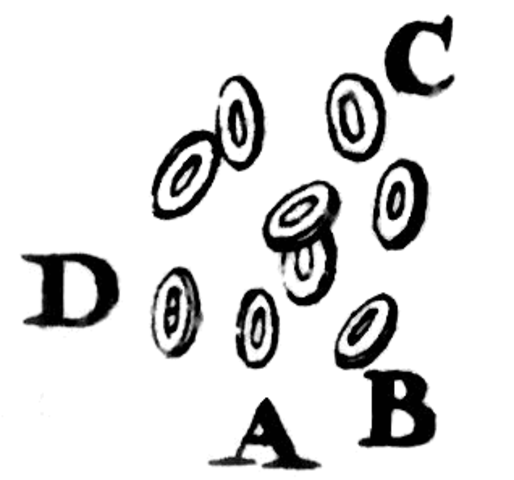 Leeuwenhoek's Blood Cells