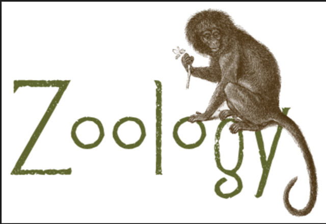 Professor of Zoology