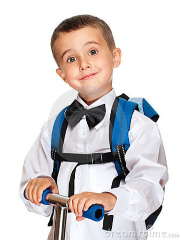 The Elementary and Secondary Education Act (ESEA)