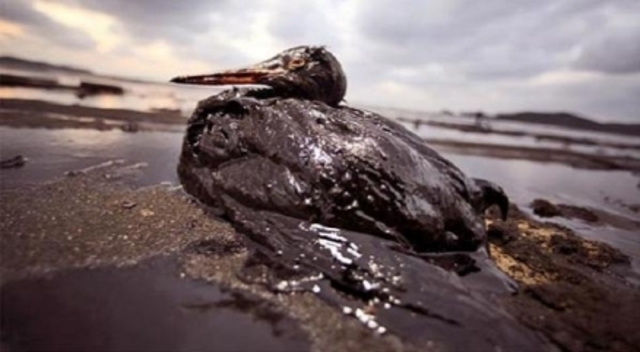 Oil Pollution Act