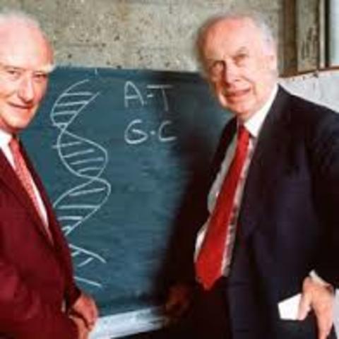 James Watson and Francis Crick