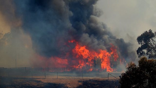 Dunally bush fire