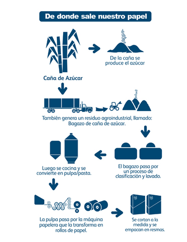 Papel de caña de azucar
